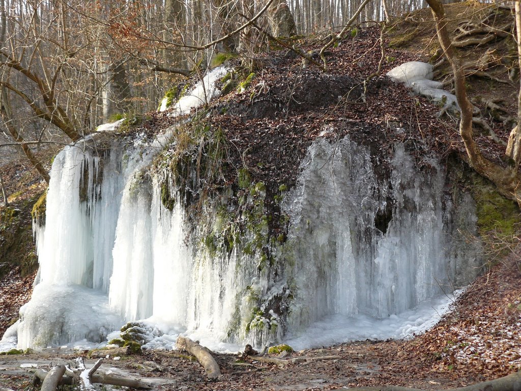 Csurgó forrás télen by KisLaci59