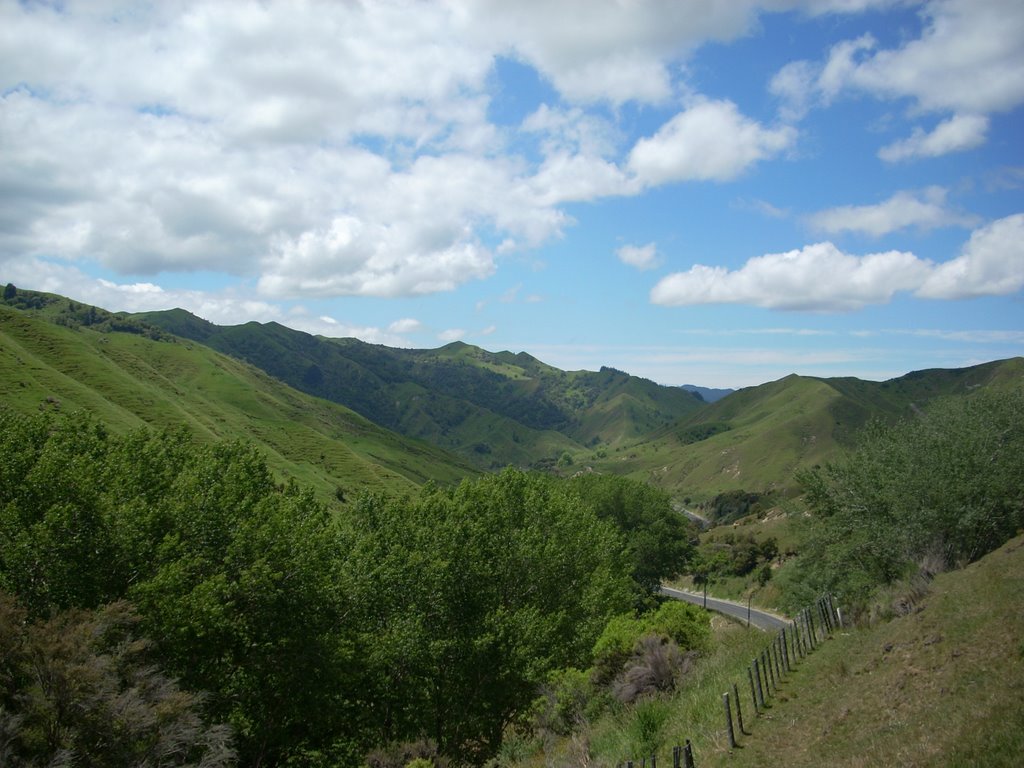 Waimata Valley Road by Filip Hanzelka