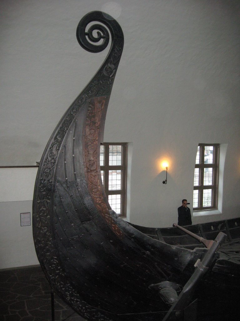 Viking Ship by dajojohn