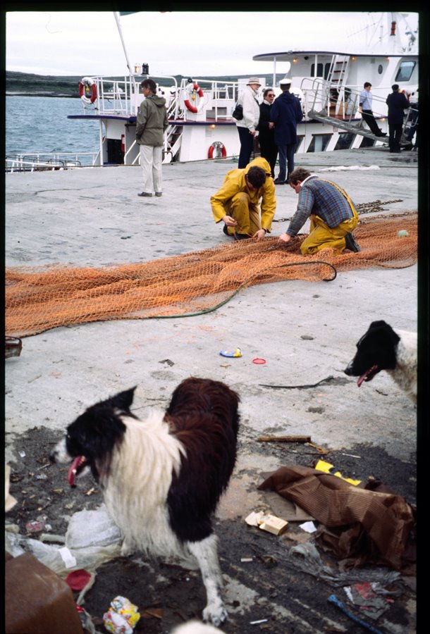 Dogs of Kilronan, Inishmore by Jan Öhrström