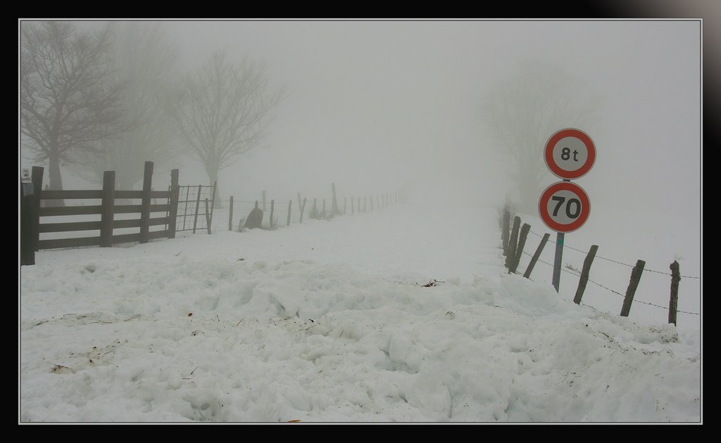 Aubrac, l'hiver. Dernier jour de l'an 2008. by Pom-Panoramio? YES !