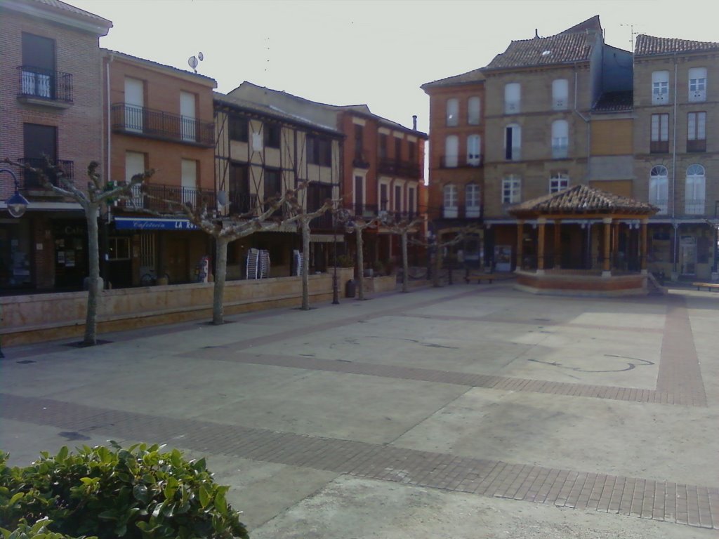 Plaza del Ayuntamiento by danilon