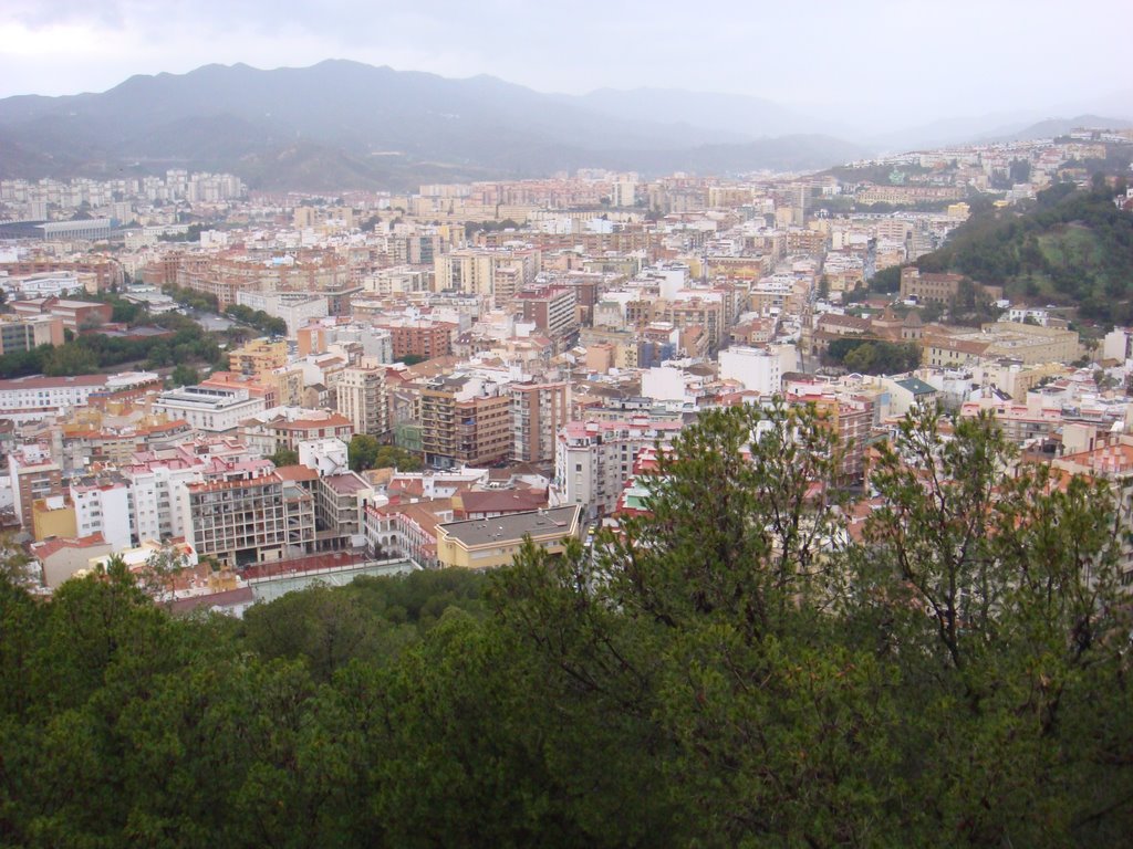 Vista Malaga by Jose Pinto