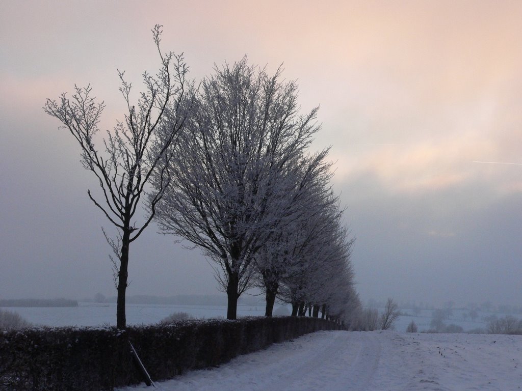 GULPEN beversbergweg helemaal boven by walterskrutser