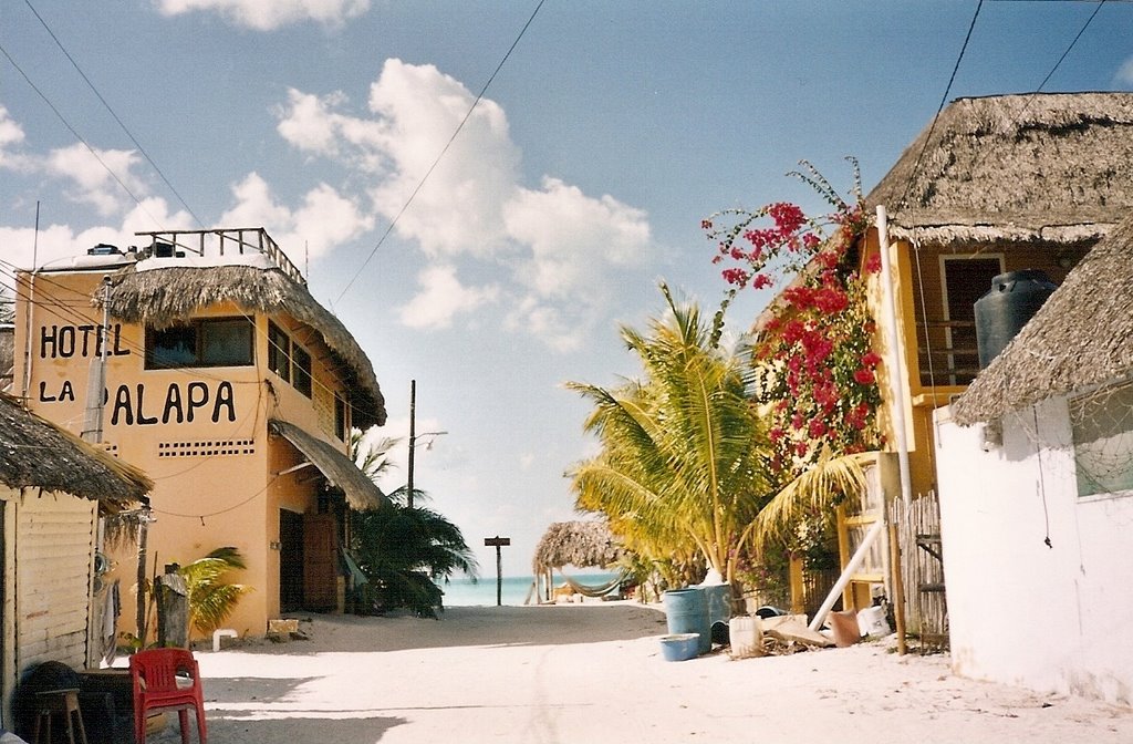 Hotel palapa, isla holbox by danbri