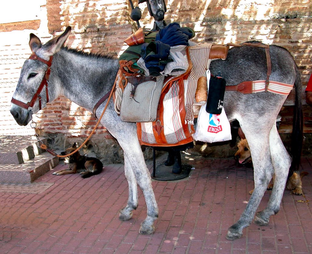 CAMINO DE SANTIAGO (2005). SAHAGÚN (León). Curro a su llegada a Sahagún. by Carlos Sieiro del Ni…