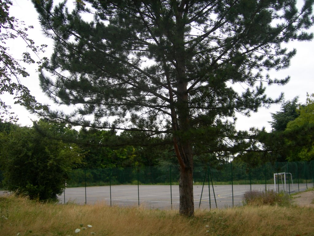 Parc du Lycée de Montgeron, terrain de Hand-ball grillagé, juillet 2008 by Jose Armindo