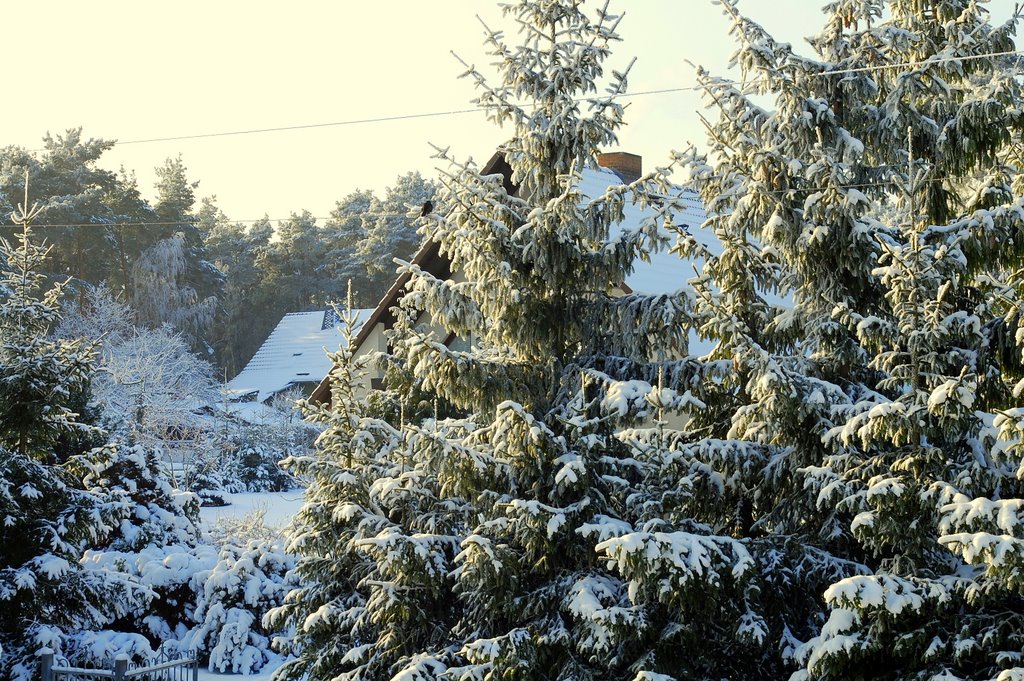 Wintereindrücke by tom2de