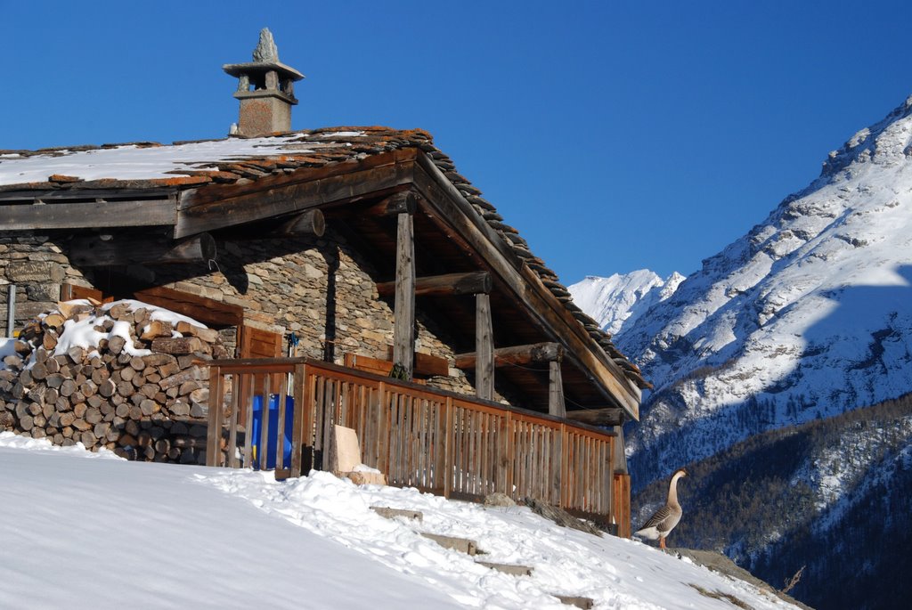 Image de Haute Maurienne by yves floret