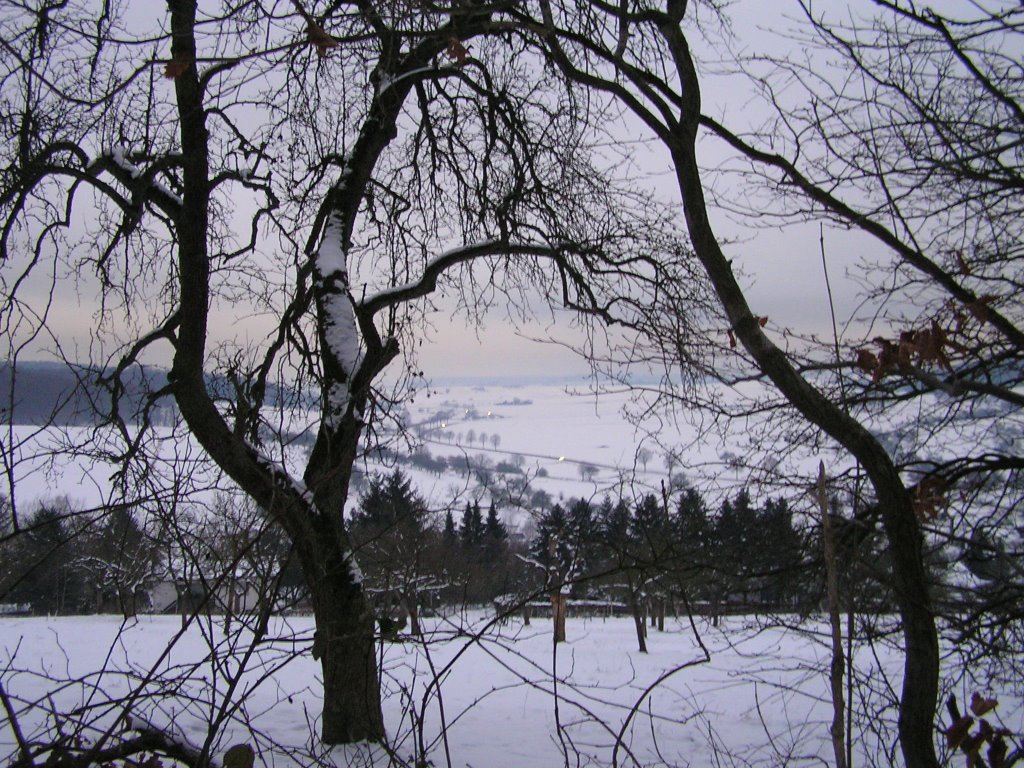 Krebsbachtal Frühjanuarnachmittag by Peter Stucken