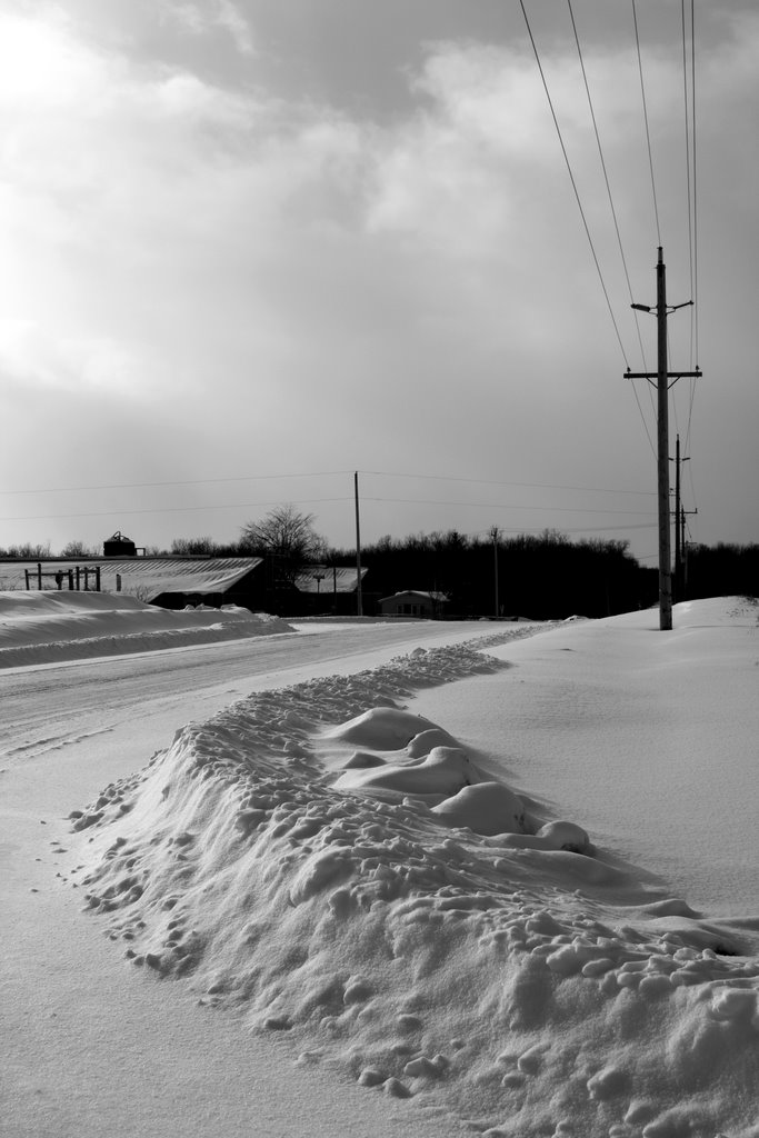 South Bruce, ON N0G, Canada by D.R.Lamont