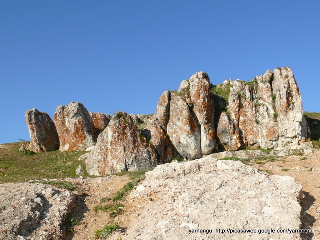 Olkhonsky District, Irkutsk Oblast, Russia by yarnangu