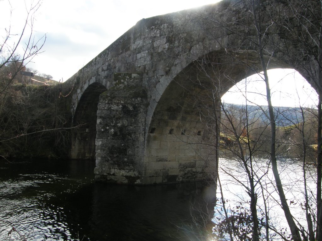 Ponte de Hermisende by Luís Seixas