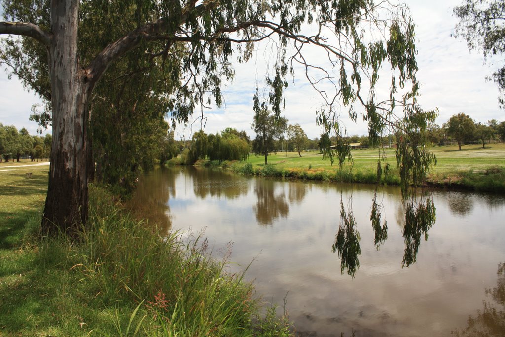 Condamine River, Warwick by Michael Gill