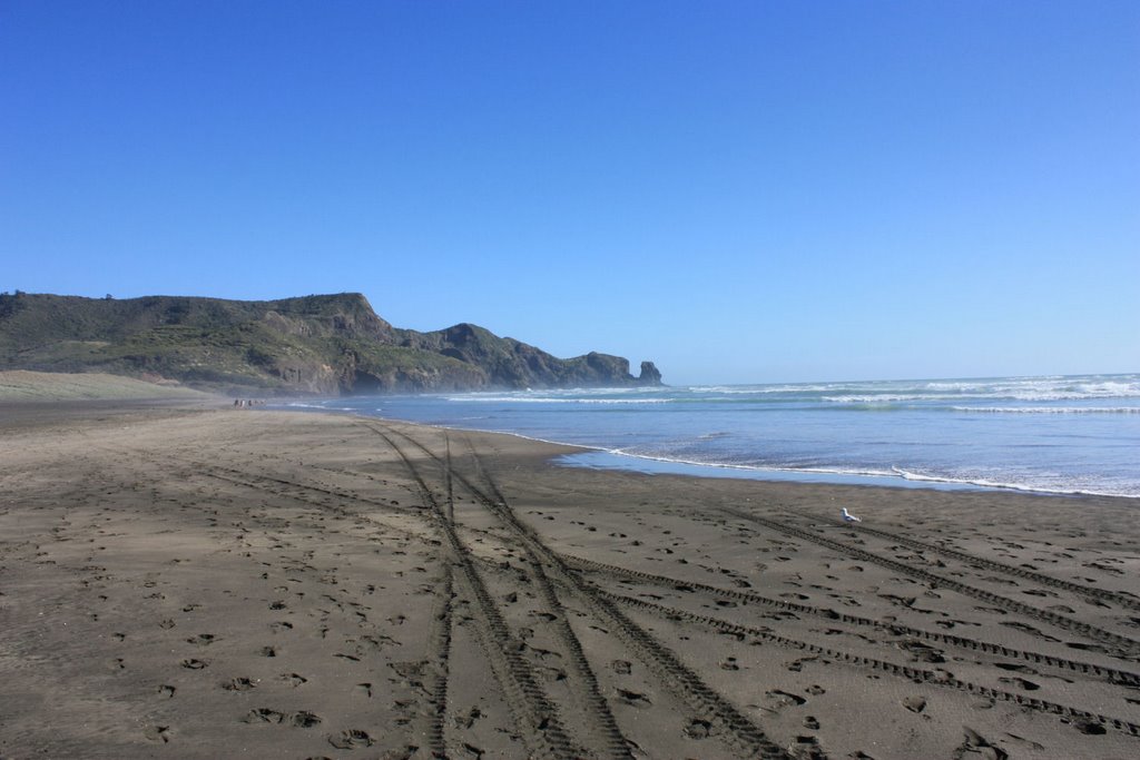 Bethells Beach by _N_