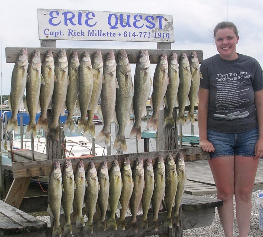 Lake Erie walleye fishing charters by eriequest