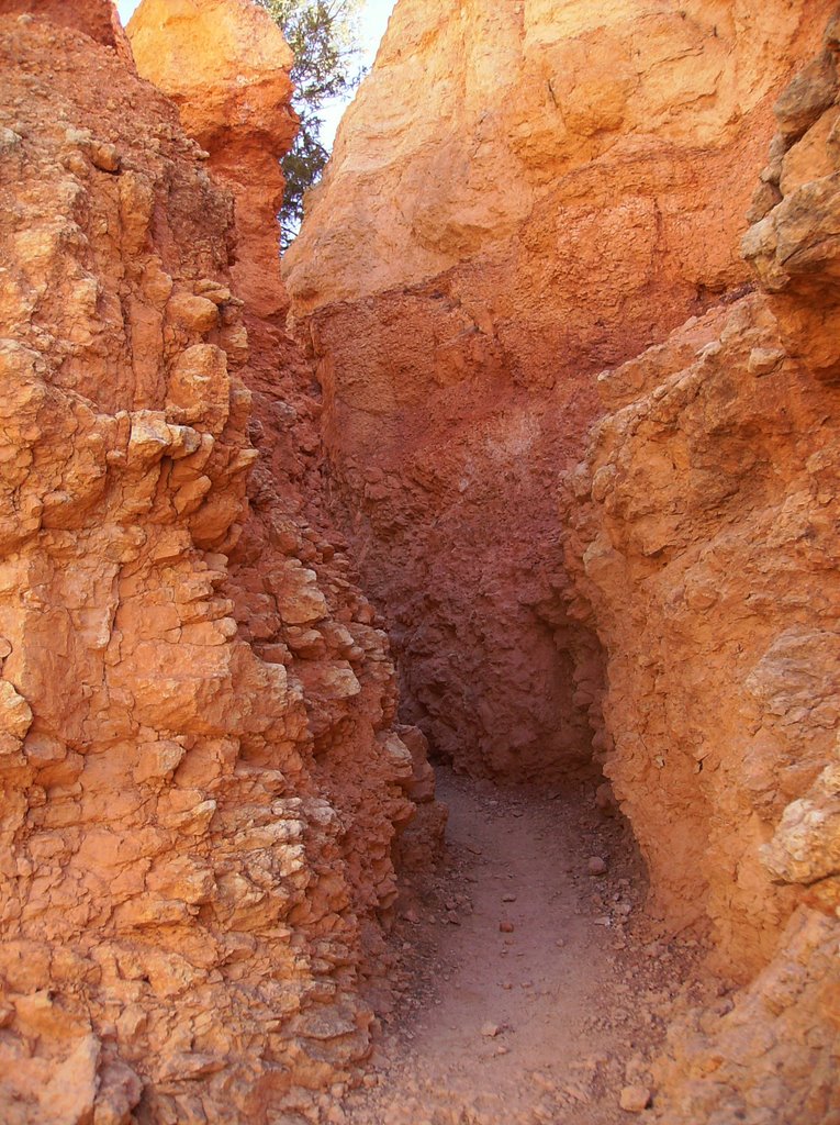 Bryce Canyon, Utah by Lainney