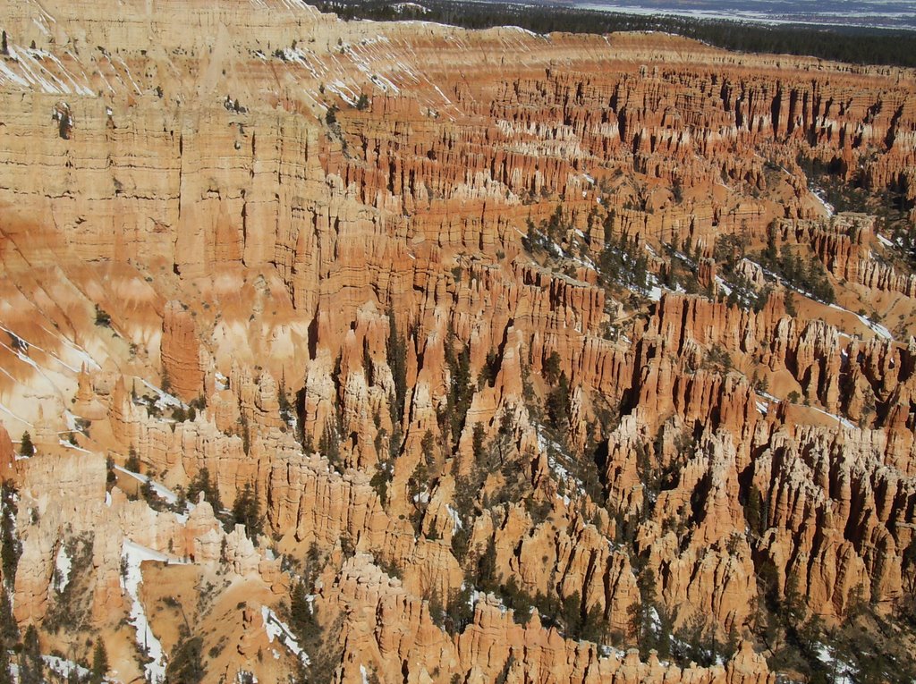 Bryce Canyon, Utah by Lainney