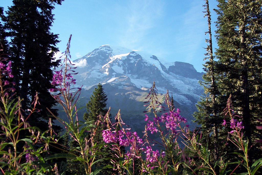 Mount Rainier, from State Route 706 by Jon Noe