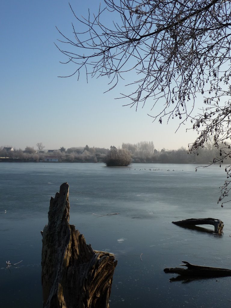 Le lac d' Ardres au petit matin par -8° by lefilsdu