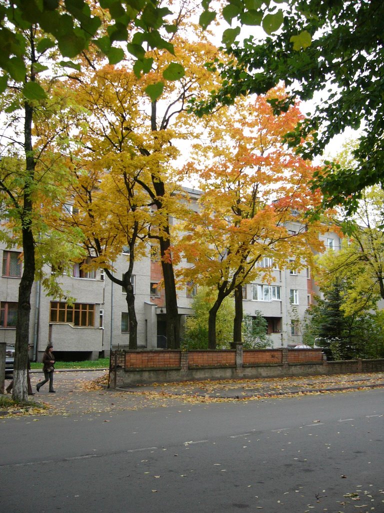 Pskov, Lenina street, 15 by Andrew A. Figol