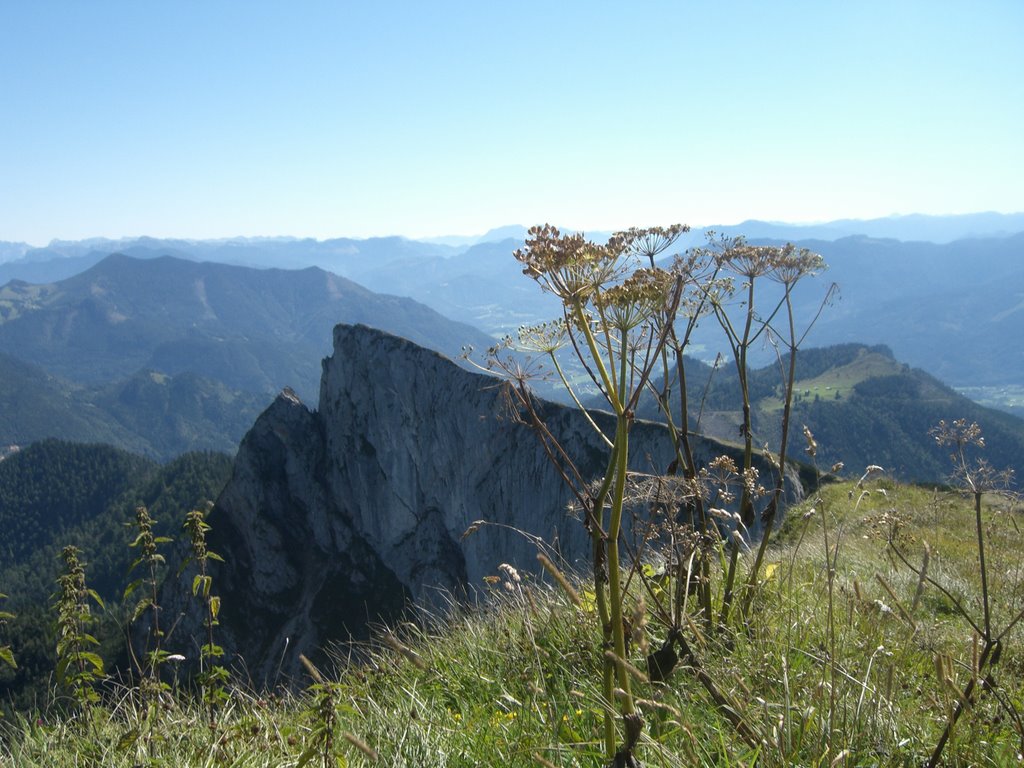 Bergvegetation by philgates