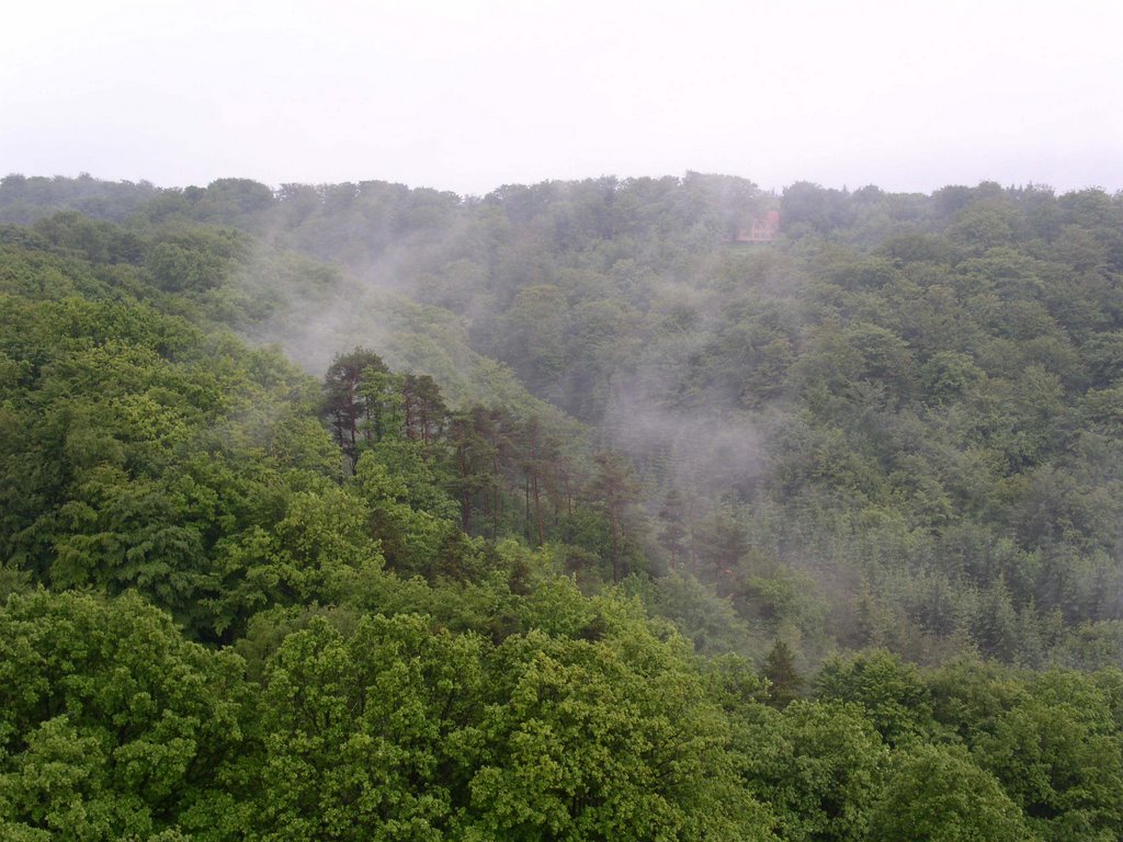 View in southwest direction, from the viewing tower at Himmelbjerget. Jylland (Jutland), Denmark. June 2005. by christer granquist