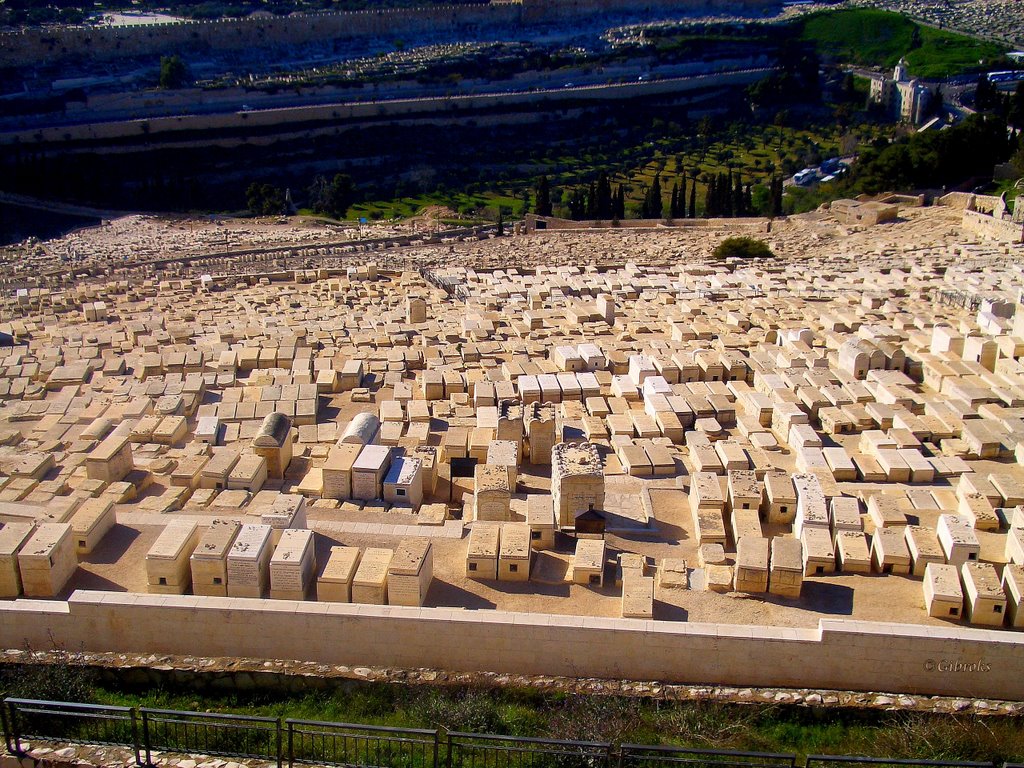 Casa di riposo-Jerusalem-Jewish cemetery on Mount of Olives by Gibroks s