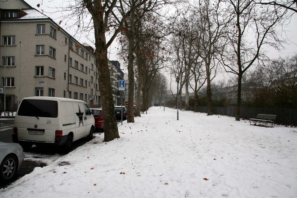 Fussgängerallee an der Herman-Greulich-Strasse by Samuel Fausch