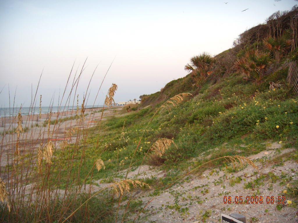 Southernly Sunrise At Edisto State Park by Alan Marshall