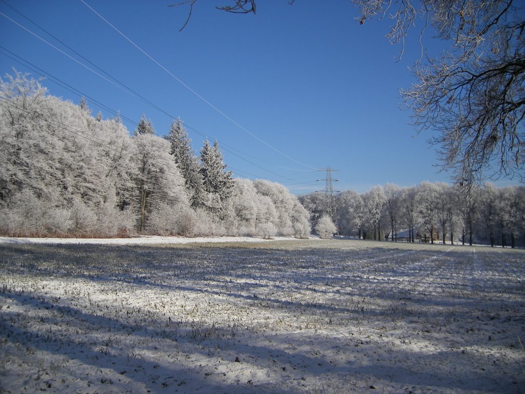 Het Dorp, Mariëndaal, 6813 Arnhem, Netherlands by Marcel Klijnhout