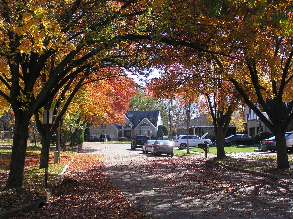 Fall at Landzettel Way by heinzhk