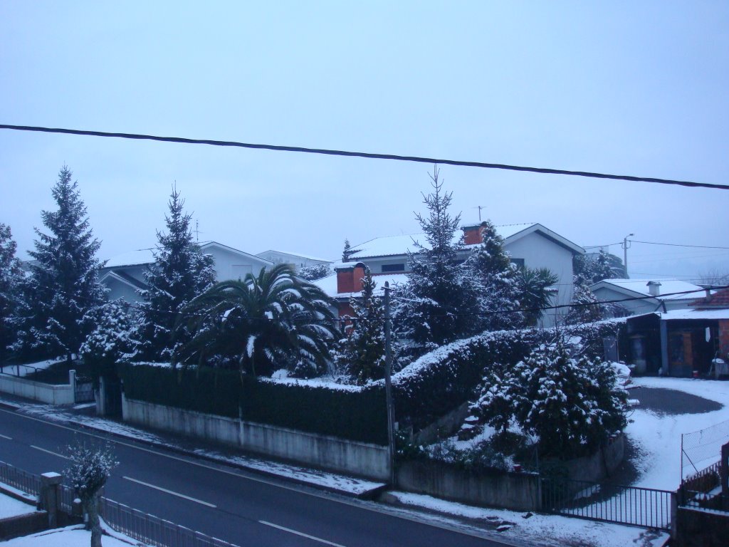 Neve em Baltar!!!!!! by JOSE CARLOS  RIBEIRO