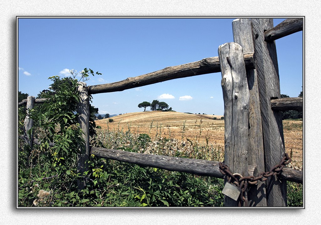 Giulianello, campagna caldissima ed assolata del 2008. by Fabio Rosati