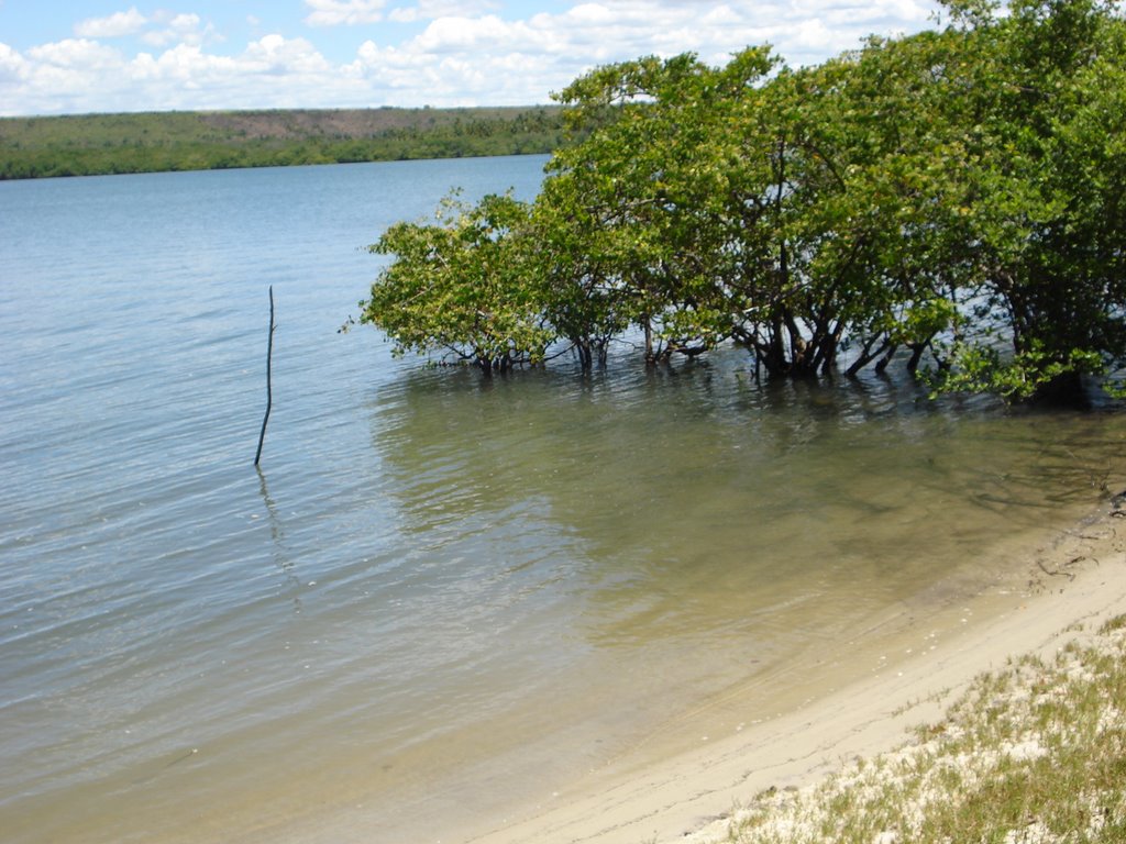 Praia da Ilha da Restinga by Jessé Júnior