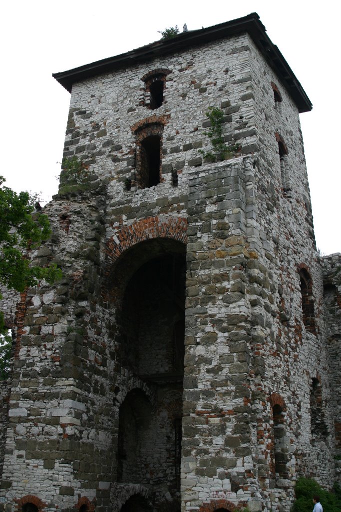 Tenczyn Castle near Rudno by Sławomir Bandzerewicz