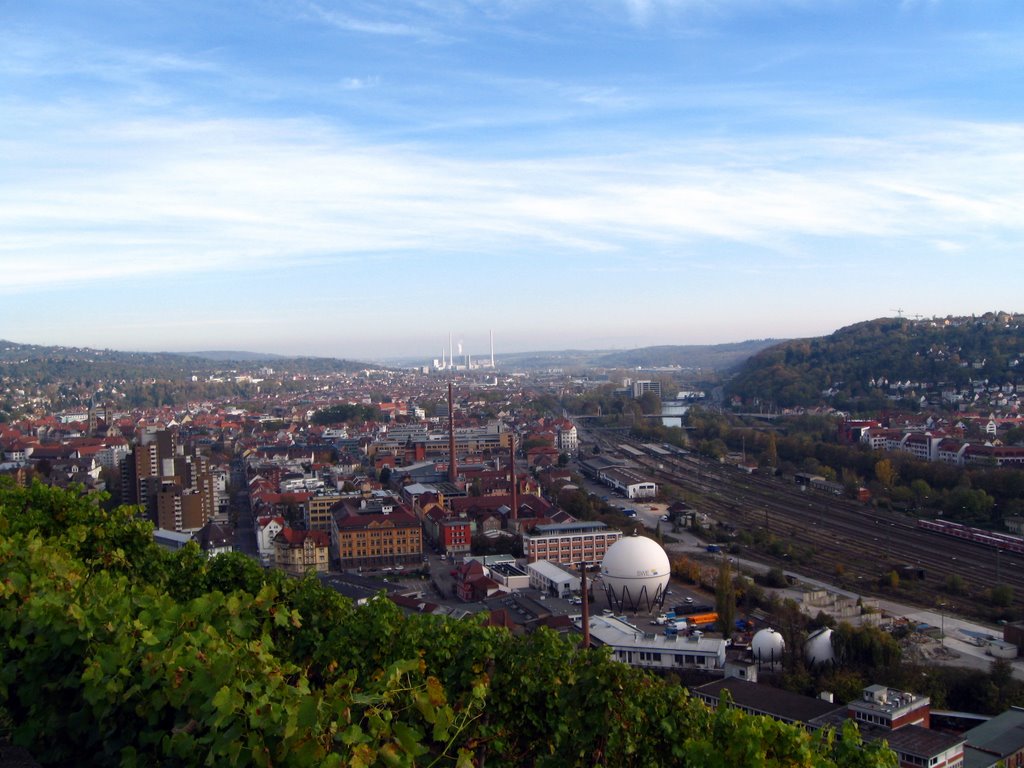 Esslingen am Neckar-Weinberge by wernau