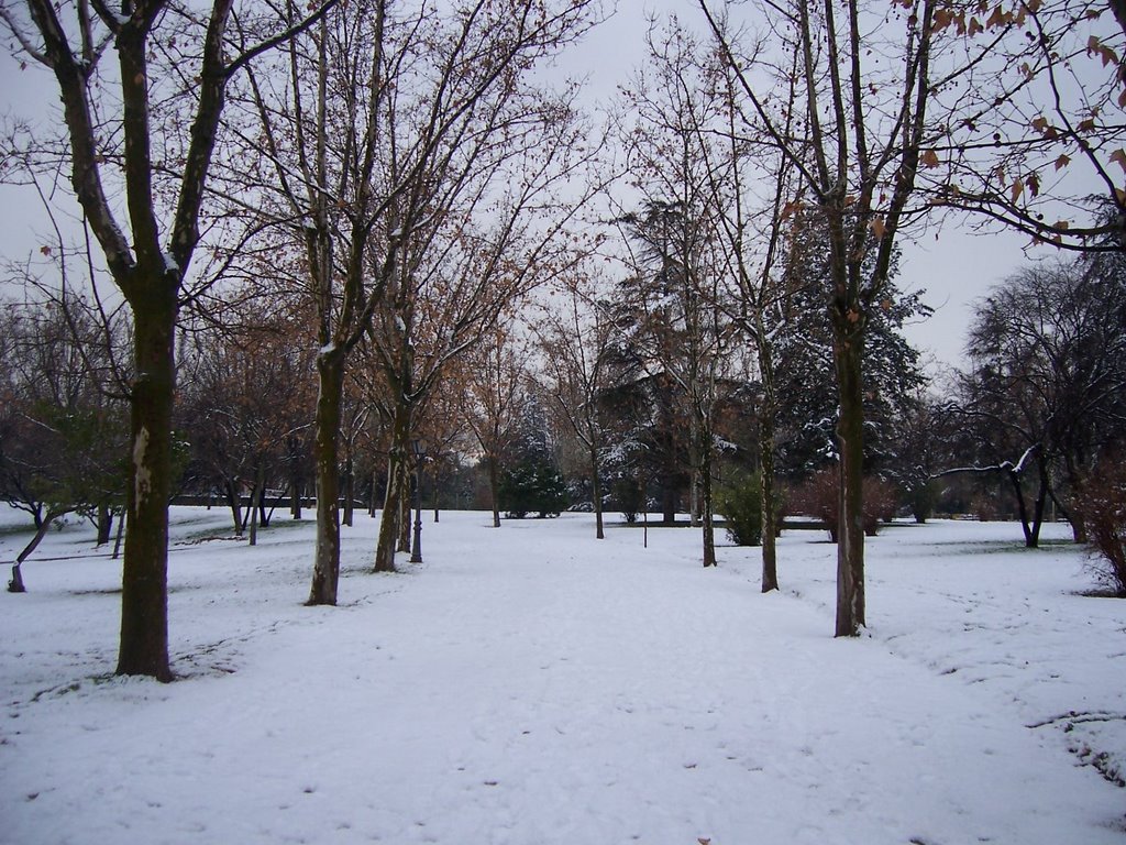 Parque Sur nevado (9-1-09) by Elf.