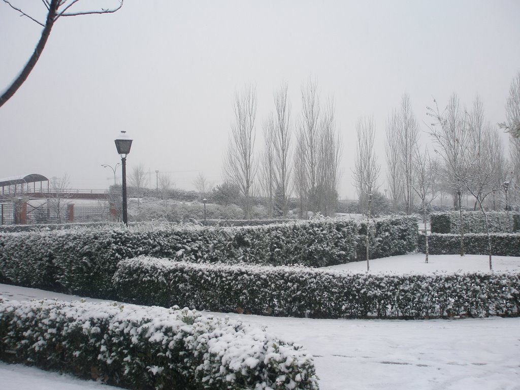 Fuenlabrada parque de la solidaridad by rangaex