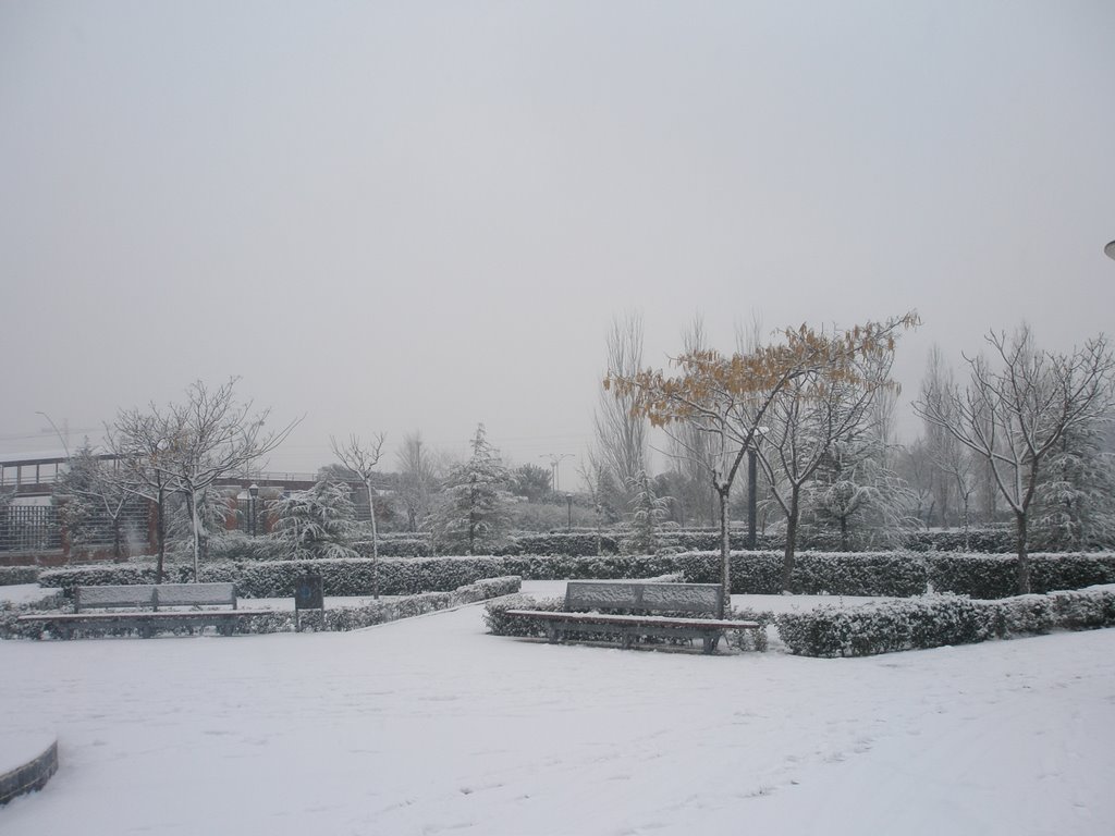 Fuenlabrada parque de la solidaridad by rangaex