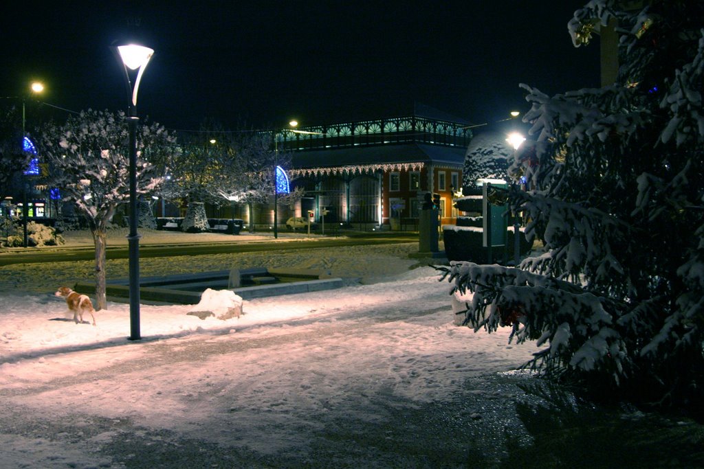 Neige Square de Gaulle 2 + Halle by René Lacaze