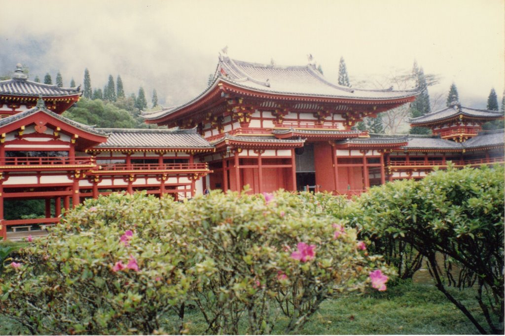 Valley Of the Temples, Oahu, Hawaii by Edwin Rondon Betancourt