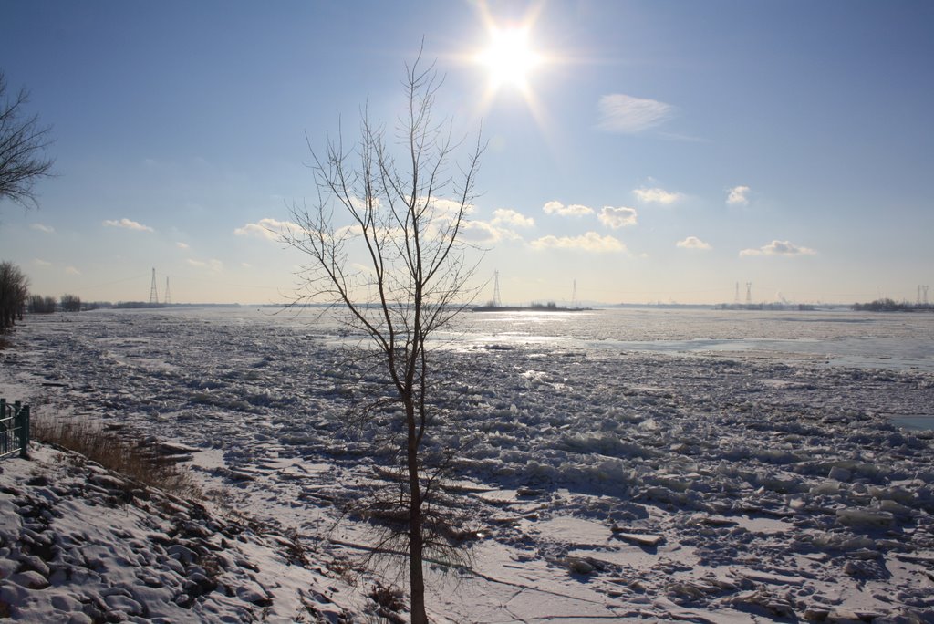 Fleuve St-Laurent gelé. by tima307