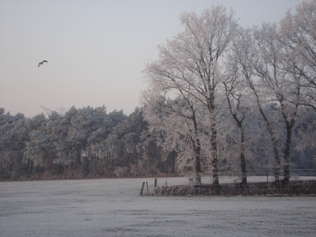 Hemelweg, Halsteren 2 by Jim Bernaards