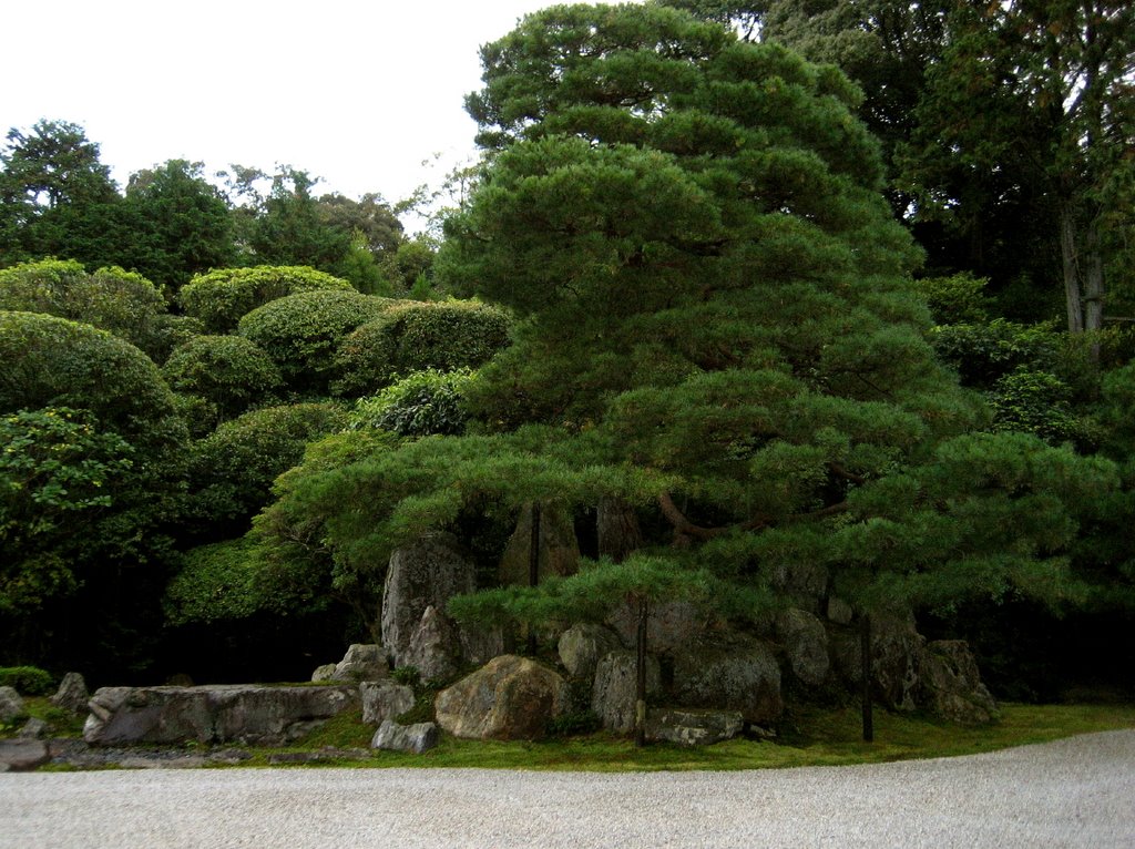 Tsuru of Tsuru-kame (Crane and Turtle) Garden, Konchi-in by Elliot Kallen