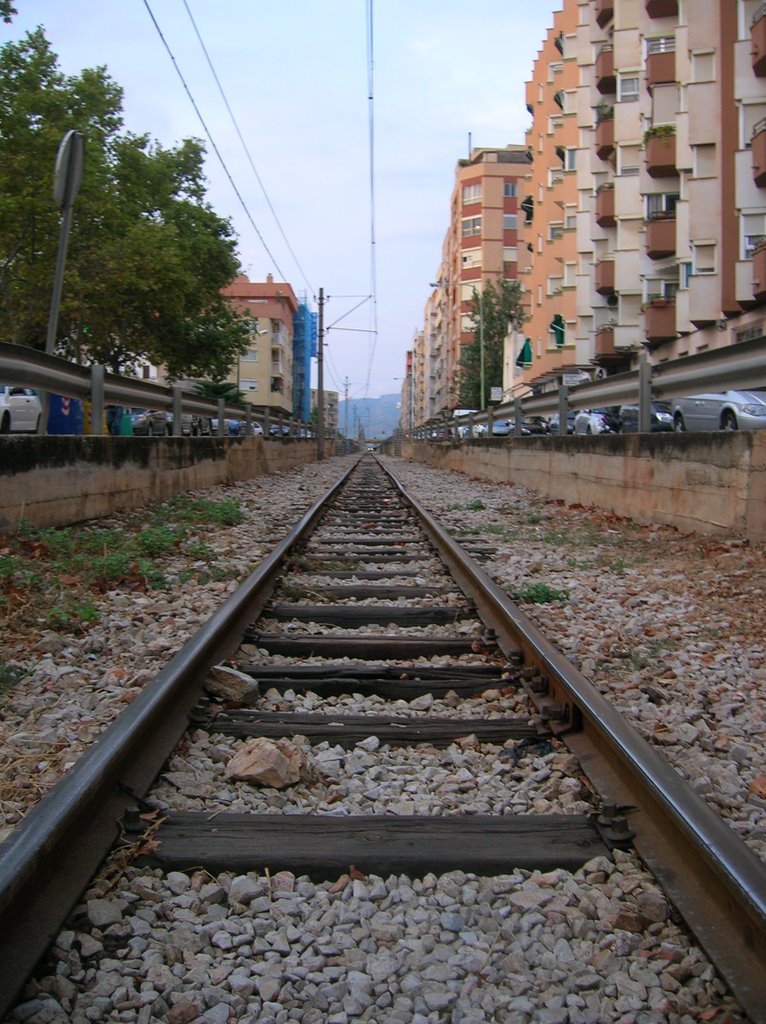 La atigua via del tren de Soller by FERMUCHI