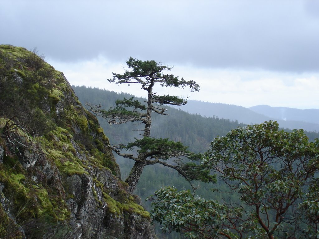 View from Mt Bluff,near Sooke, B.C. by warmoo