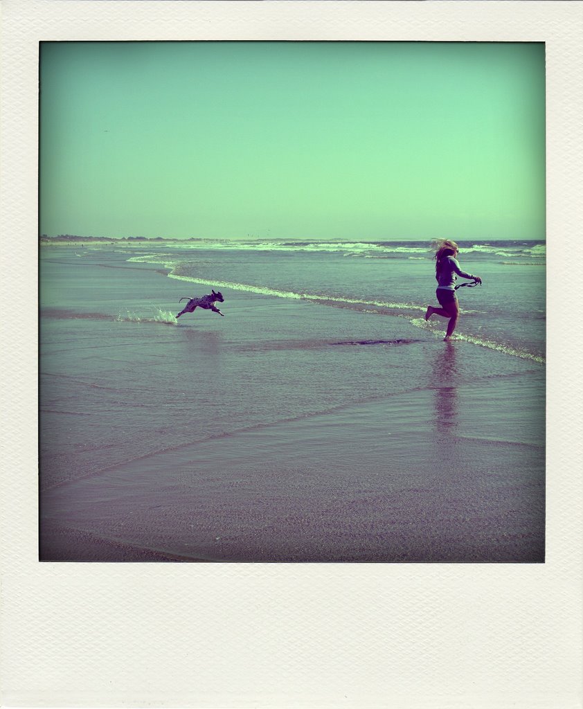 Pismo Beach CA by Patrick P