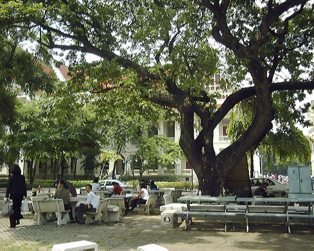 Student table before faculty of Arts, Chulalongkorn Univ. / ﾁｭﾗﾛﾝｺｰﾝ大学ｷｬﾝﾊﾟｽ､文学部前の学生(持込み)ﾃｰﾌﾞﾙ by namsaijaijing