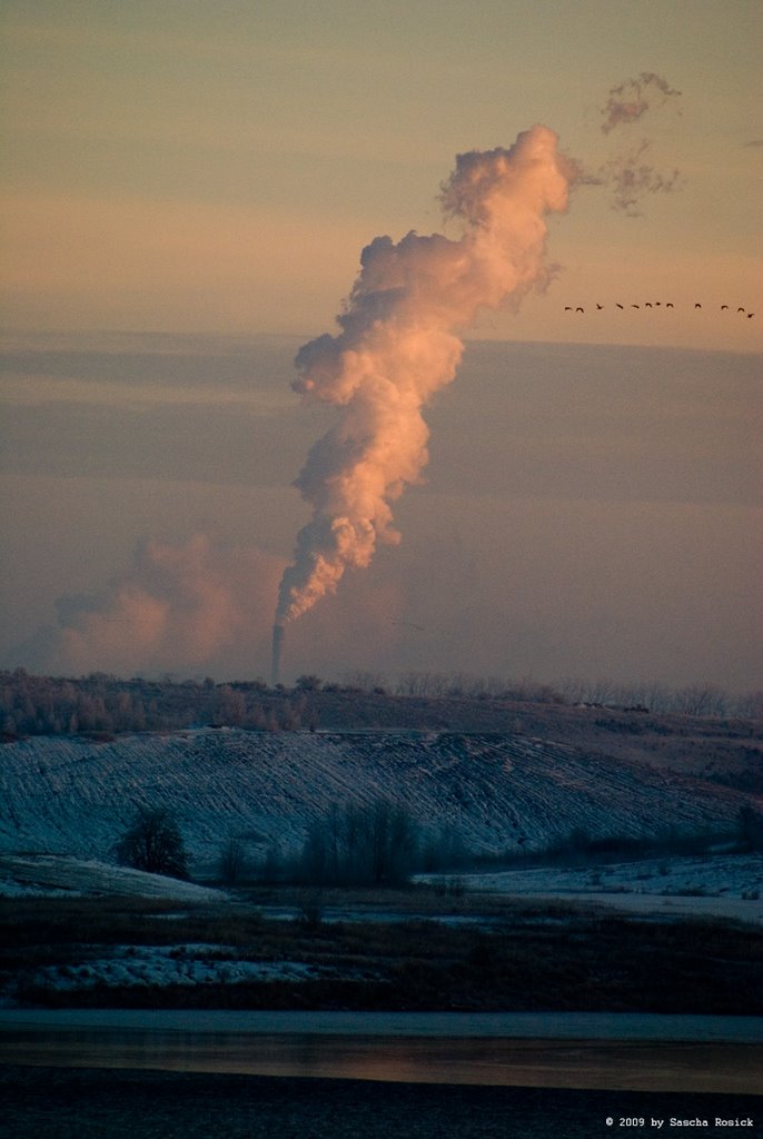 Geiseltalsee, Winter 2009 by Sascha Rosick